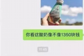 滨城为什么选择专业追讨公司来处理您的债务纠纷？